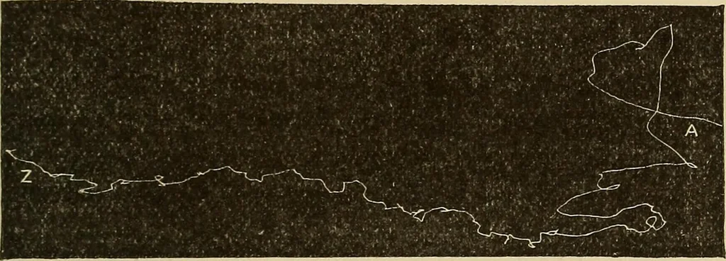 An illustration from Fact and fable in psychology, 1900, leaf 345