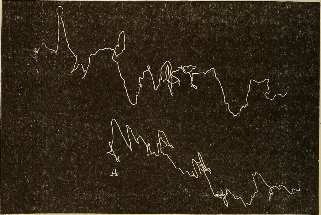An illustration from Fact and fable in psychology, 1900, leaf 348