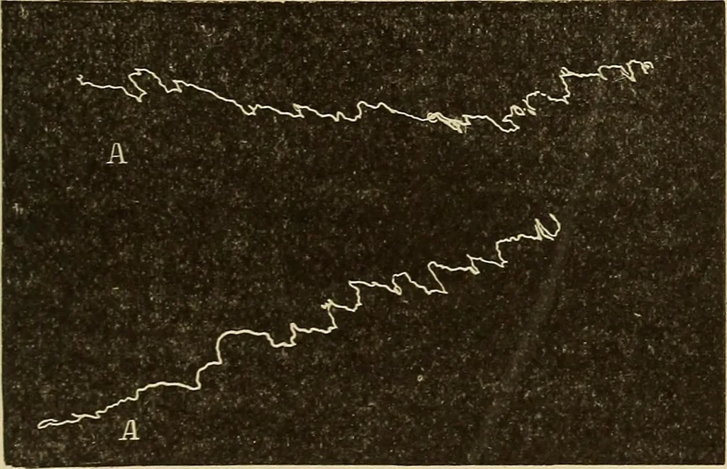 An illustration from Fact and fable in psychology, 1900, leaf 349
