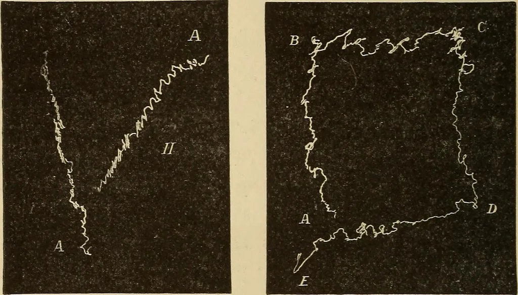 An illustration from Fact and fable in psychology, 1900, leaf 350