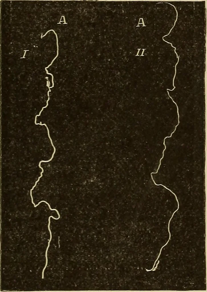 An illustration from Fact and fable in psychology, 1900, leaf 351