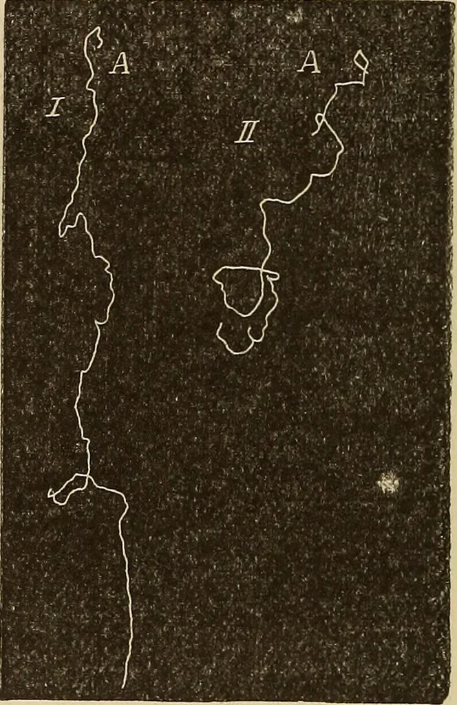 An illustration from Fact and fable in psychology, 1900, leaf 352