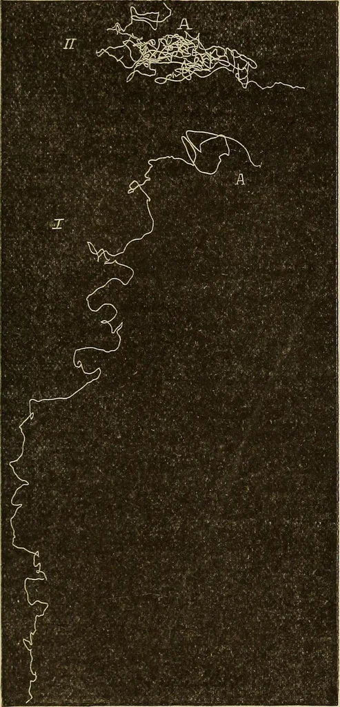 An illustration from Fact and fable in psychology, 1900, leaf 353