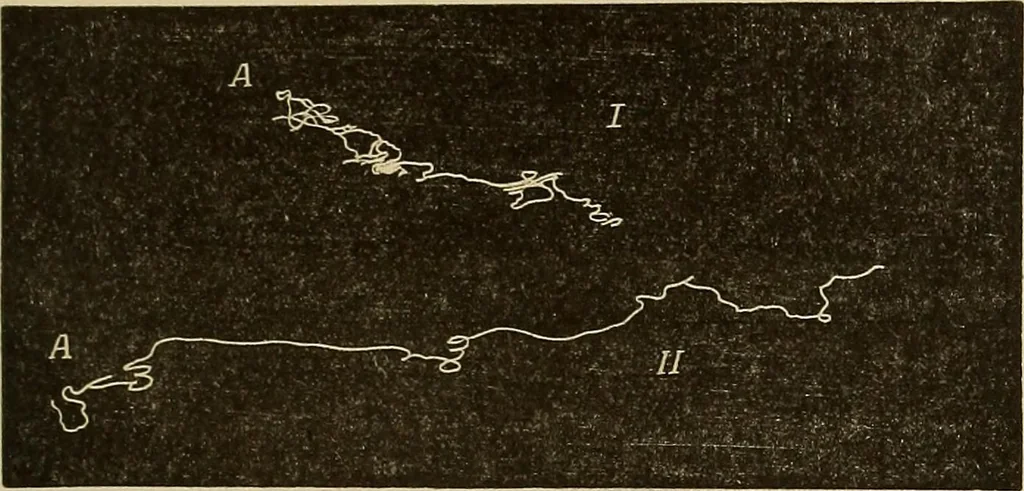 An illustration from Fact and fable in psychology, 1900, leaf 355