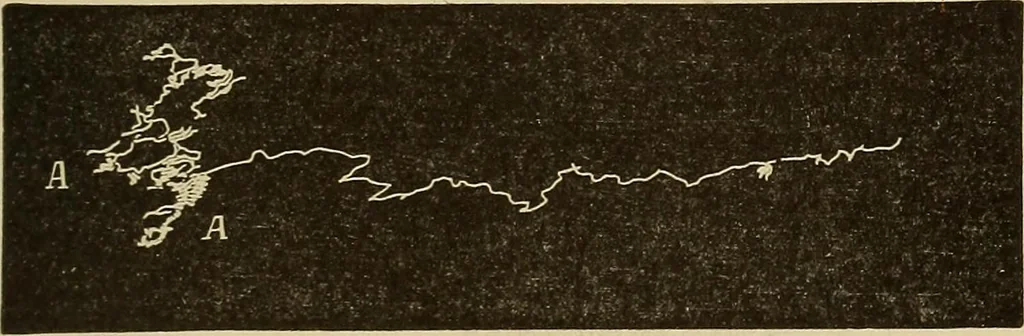 An illustration from Fact and fable in psychology, 1900, leaf 355