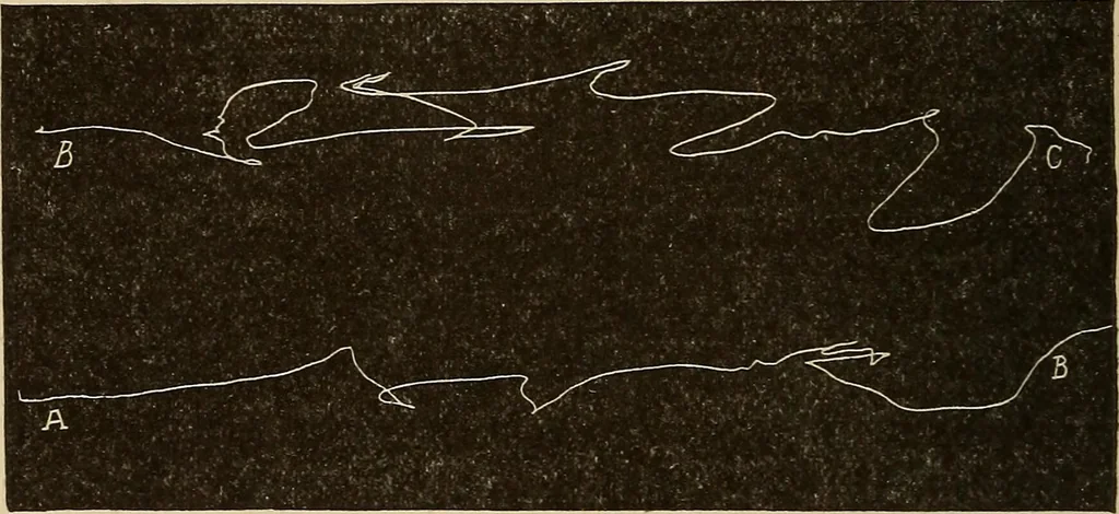 An illustration from Fact and fable in psychology, 1900, leaf 356