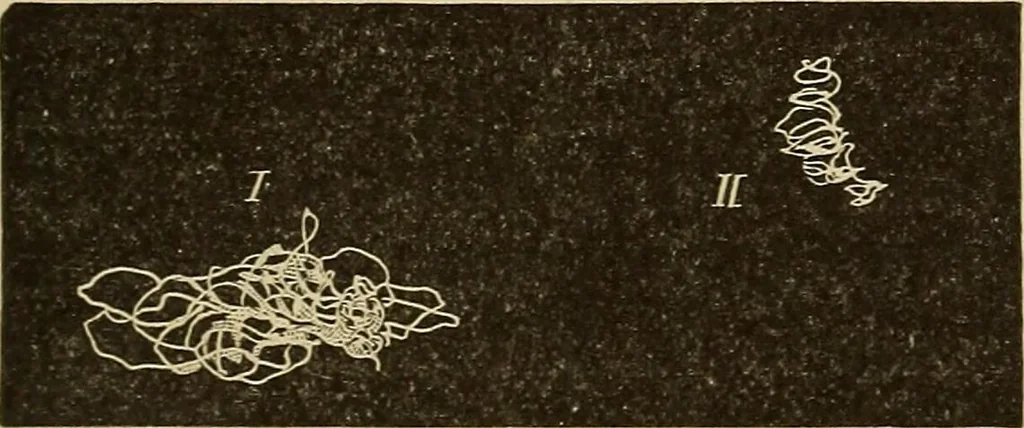 An illustration from Fact and fable in psychology, 1900, leaf 357