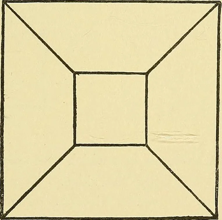 An illustration from Fact and fable in psychology, 1901, leaf 310