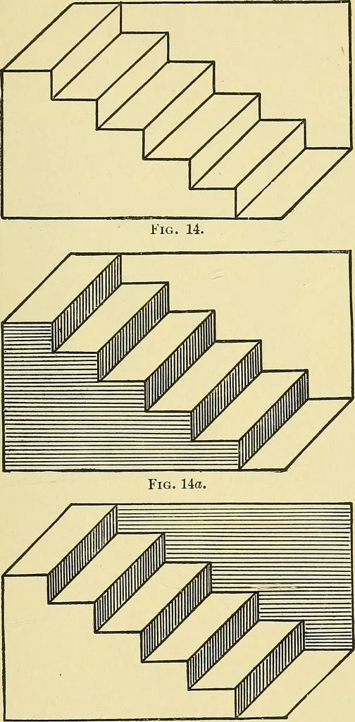 An illustration from Fact and fable in psychology, 1901, leaf 314