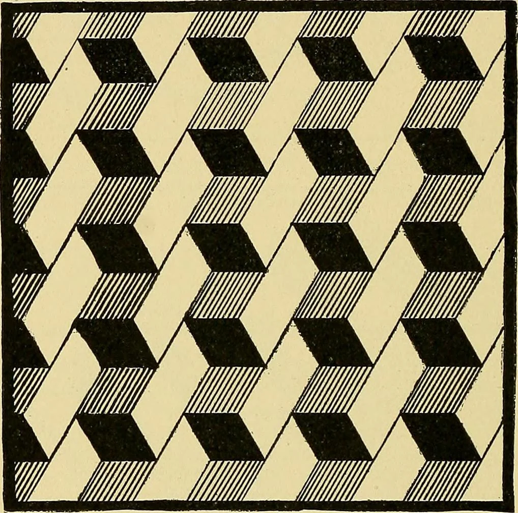 An illustration from Fact and fable in psychology, 1901, leaf 315