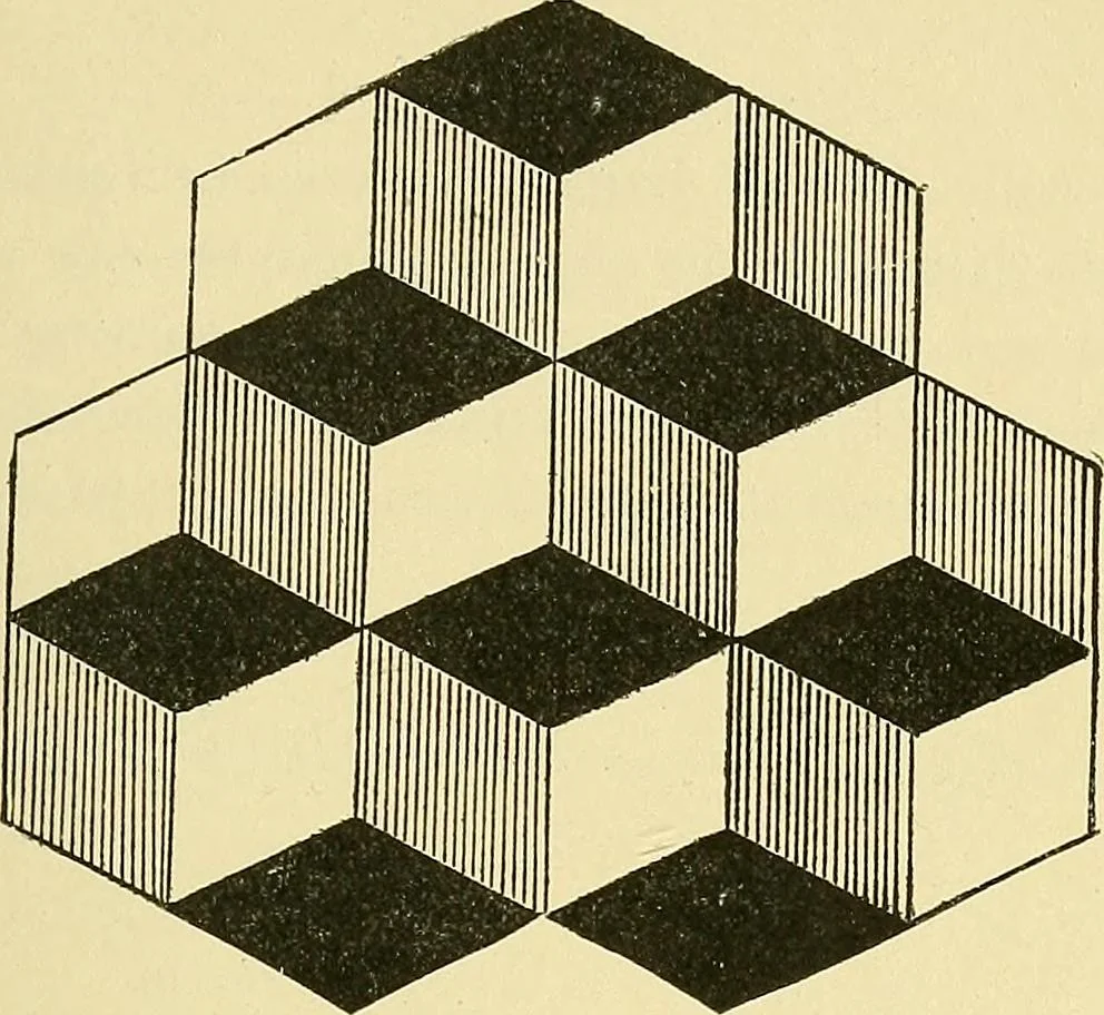 An illustration from Fact and fable in psychology, 1901, leaf 316
