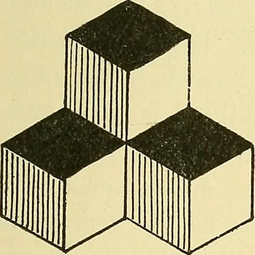 An illustration from Fact and fable in psychology, 1901, leaf 316