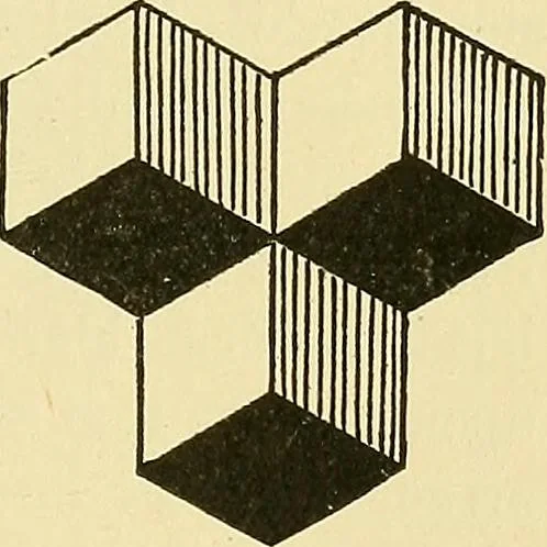 An illustration from Fact and fable in psychology, 1901, leaf 316