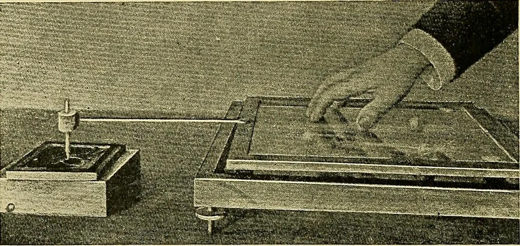 An illustration from Fact and fable in psychology, 1901, leaf 333