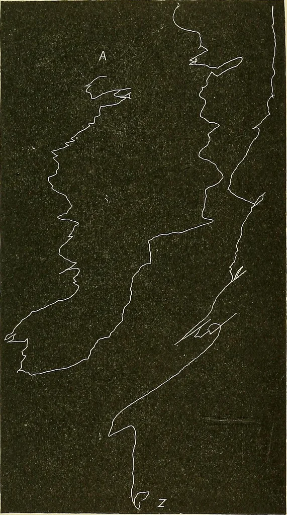 An illustration from Fact and fable in psychology, 1901, leaf 338