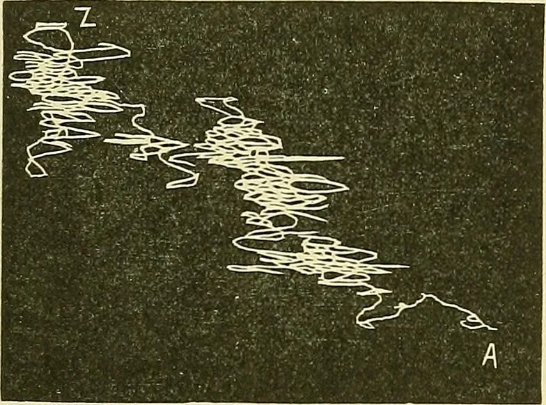 An illustration from Fact and fable in psychology, 1901, leaf 340