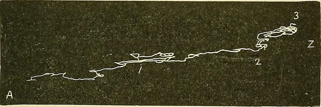 An illustration from Fact and fable in psychology, 1901, leaf 340