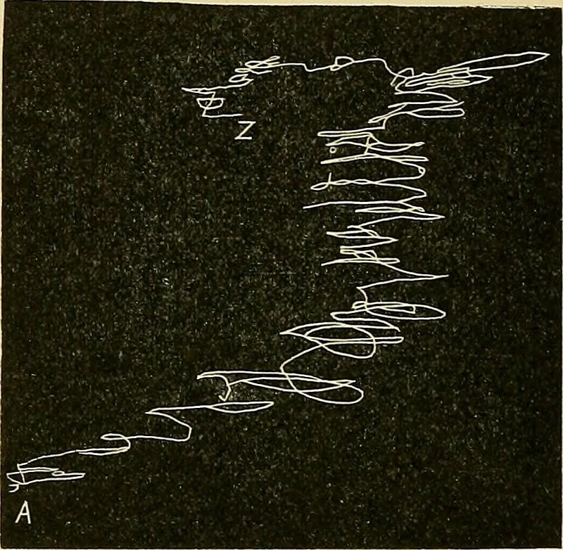 An illustration from Fact and fable in psychology, 1901, leaf 341