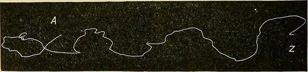 An illustration from Fact and fable in psychology, 1901, leaf 341