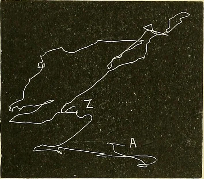 An illustration from Fact and fable in psychology, 1901, leaf 342