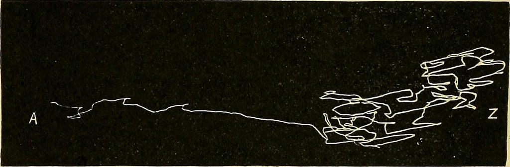 An illustration from Fact and fable in psychology, 1901, leaf 343