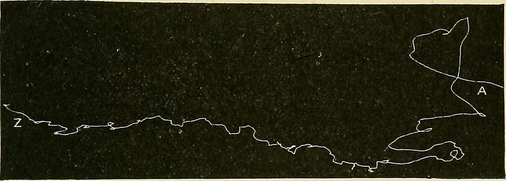 An illustration from Fact and fable in psychology, 1901, leaf 344