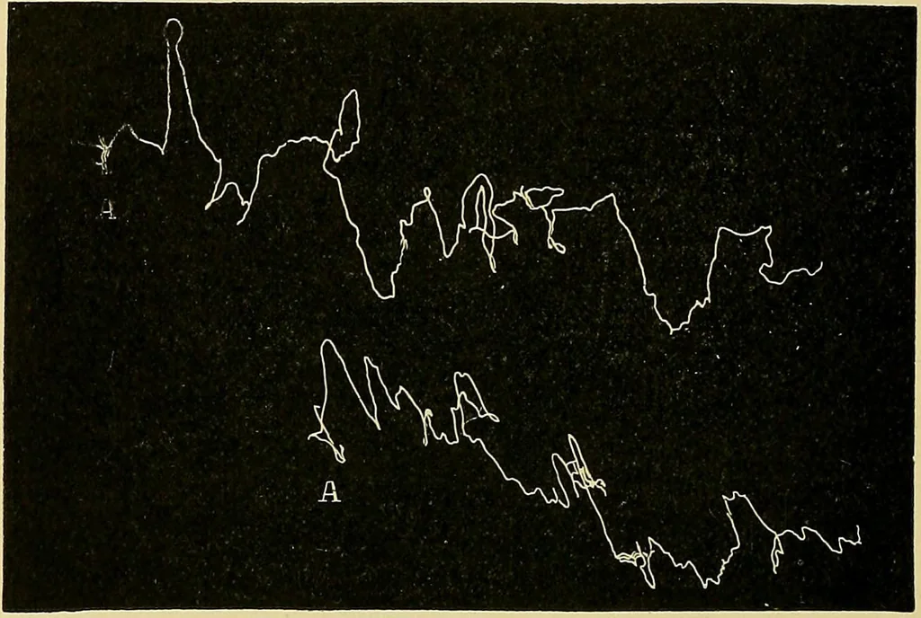 An illustration from Fact and fable in psychology, 1901, leaf 347
