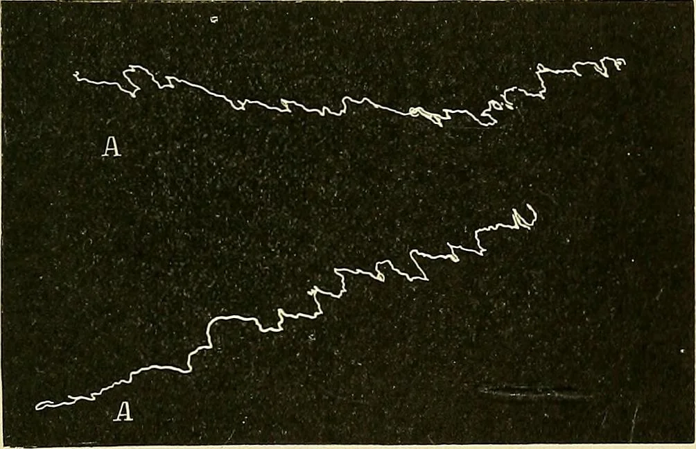 An illustration from Fact and fable in psychology, 1901, leaf 348