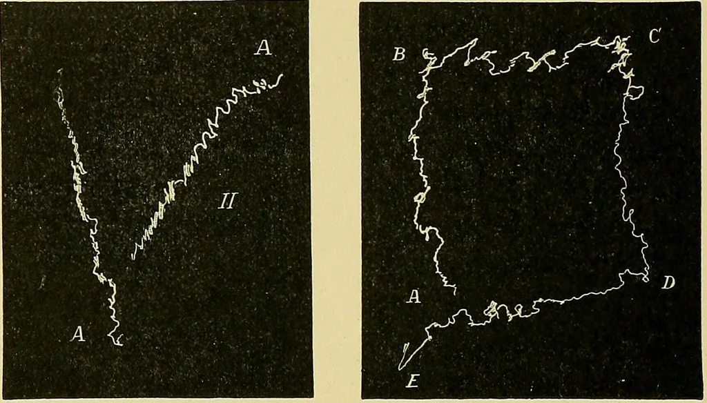 An illustration from Fact and fable in psychology, 1901, leaf 349