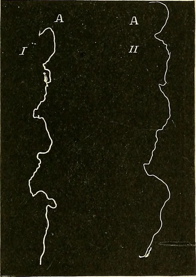 An illustration from Fact and fable in psychology, 1901, leaf 350