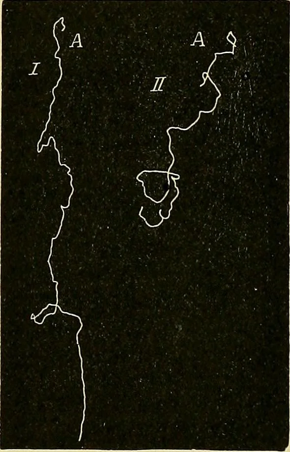 An illustration from Fact and fable in psychology, 1901, leaf 351