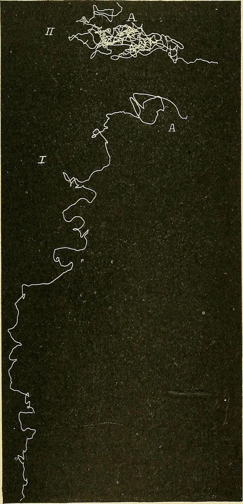 An illustration from Fact and fable in psychology, 1901, leaf 352