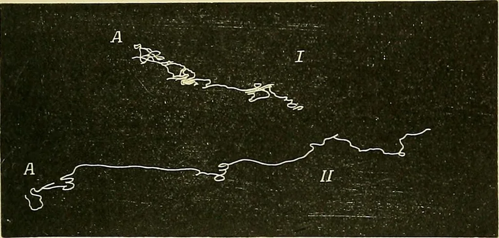 An illustration from Fact and fable in psychology, 1901, leaf 354