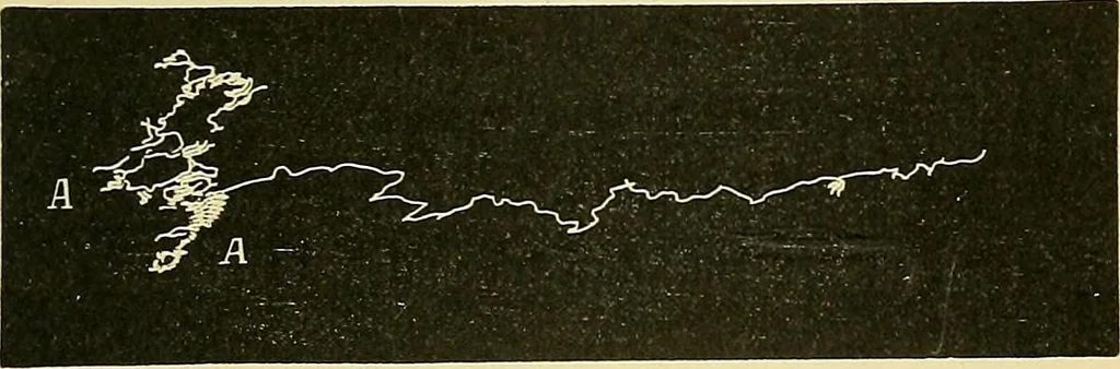 An illustration from Fact and fable in psychology, 1901, leaf 354