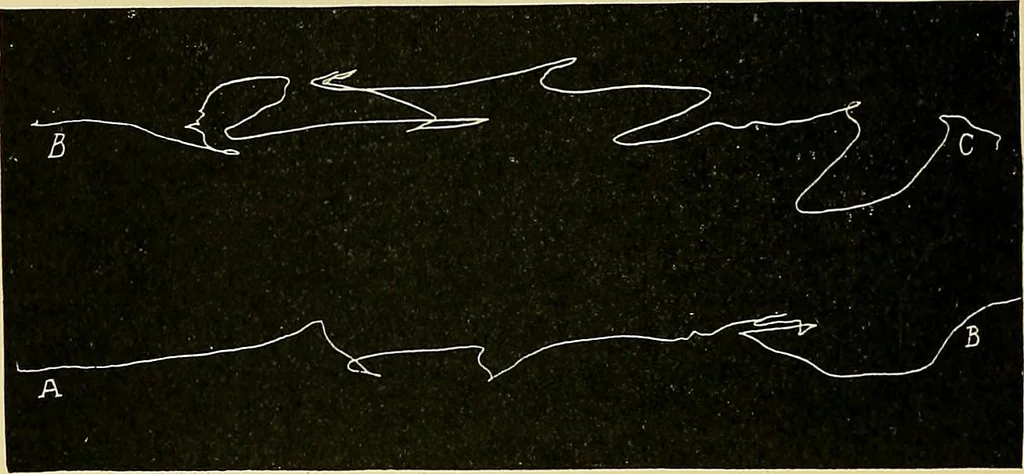 An illustration from Fact and fable in psychology, 1901, leaf 355