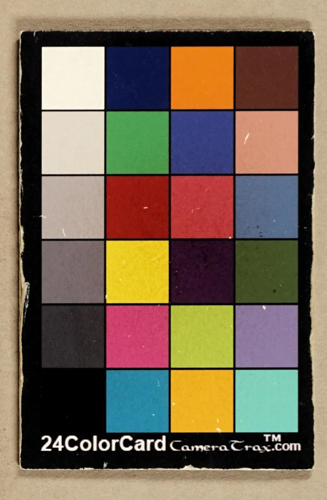 An illustration from Factum,, 1660, leaf 29