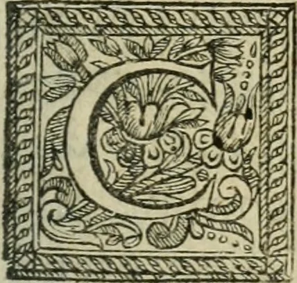 An illustration from Factum pour madame la comtese de Saint-Géran, 1663, leaf 182