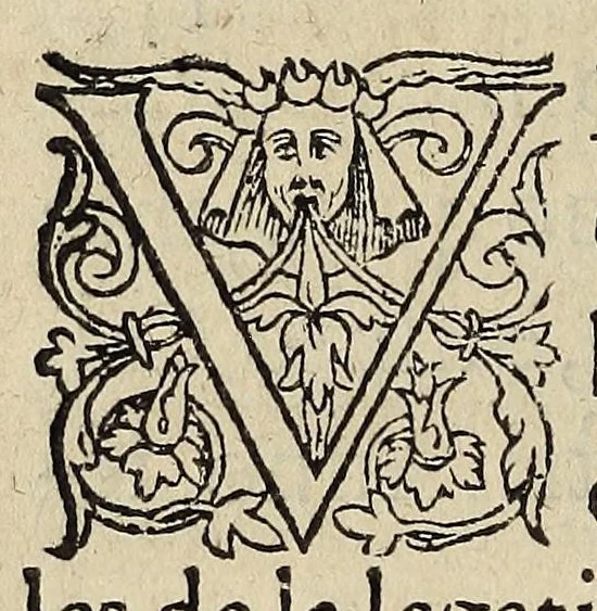 An illustration from Facvltates reverendissimo domino Hippolyto, sanctæ Mariæ in Acquiro Diacono, Cardinali Ferrariensis nuncupato, in regno Frãciae, à latere legato per sanctissimum Dominum nostrum, D. Pium Papam quartum concessæ. Et per Germanum de Magdalena in artibus magistrum literarum Apostolicarum eiusdem legationis scriptorem, pro primo ad prothotypum recognitæ., 1561, leaf 84