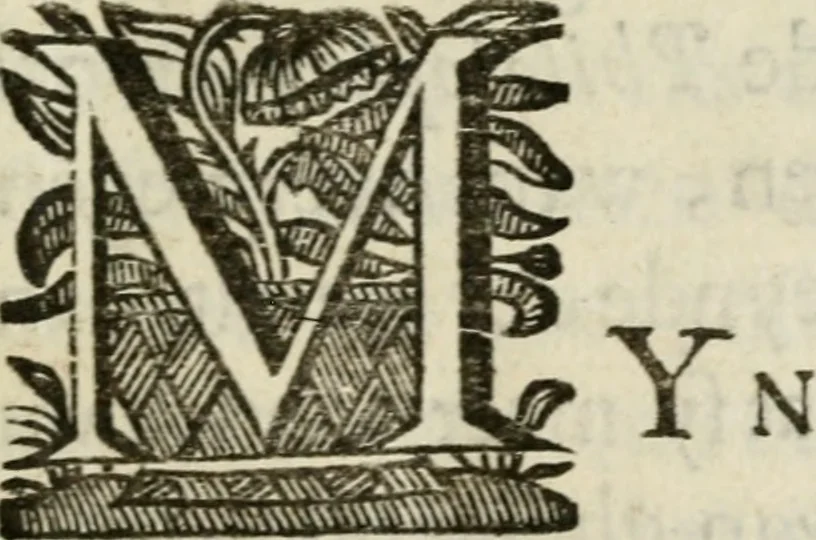An illustration from Faems Weer-galm der Neder-duytsche poësie, 1670, leaf 12