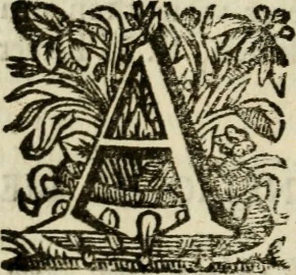 An illustration from Faems Weer-galm der Neder-duytsche poësie, 1670, leaf 29