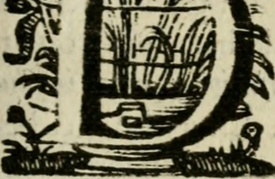 An illustration from Faems Weer-galm der Neder-duytsche poësie, 1670, leaf 50