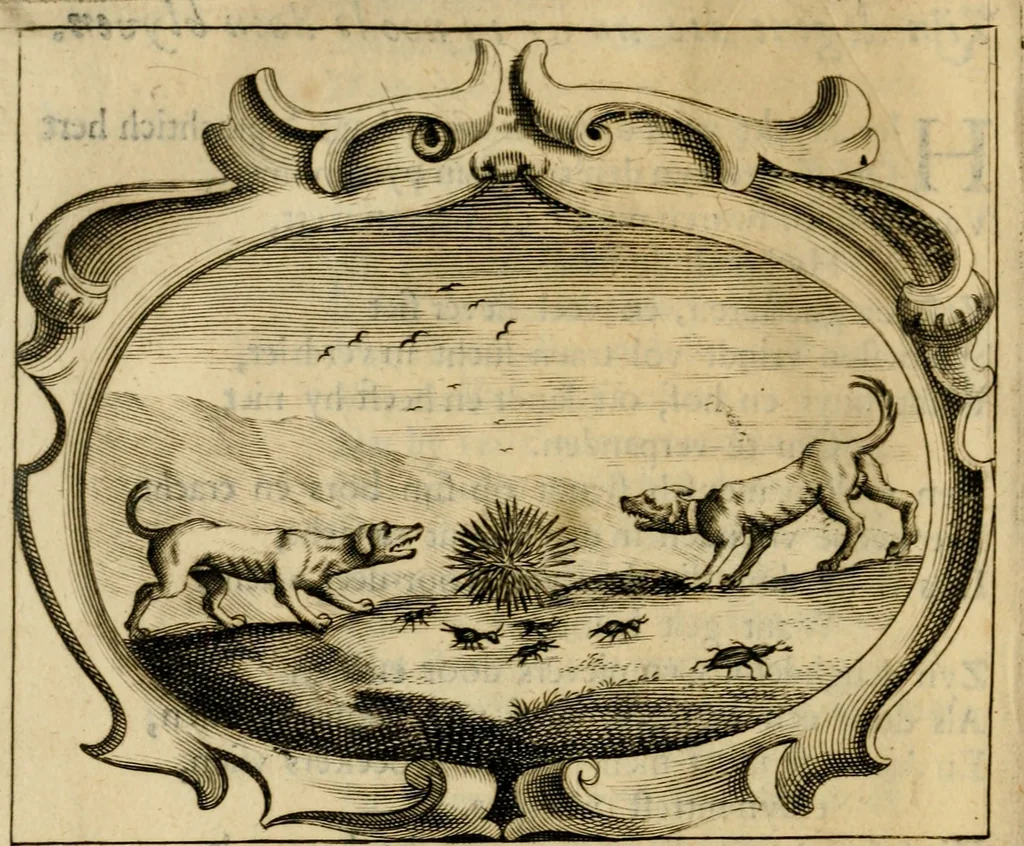 An illustration from Faems Weer-galm der Neder-duytsche poësie, 1670, leaf 83