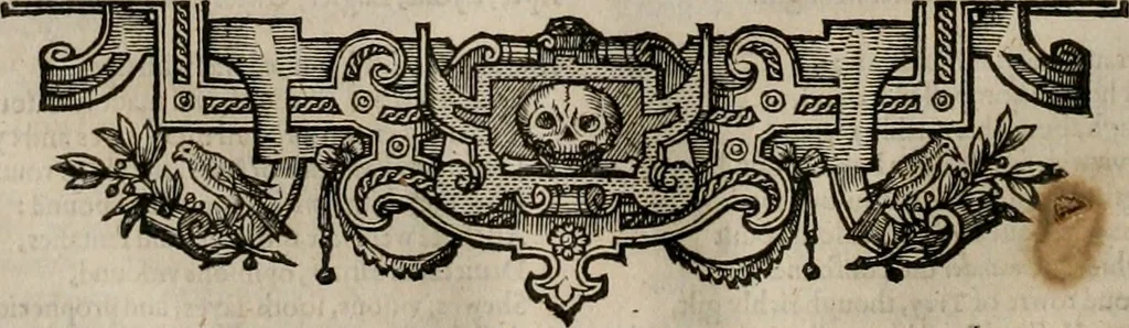 An illustration from The faerie queene : disposed into XII bookes, fashioning twelue morall vertues, 1609, leaf 107