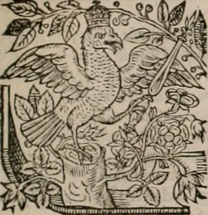 An illustration from The faerie queene : disposed into XII bookes, fashioning twelue morall vertues, 1609, leaf 16