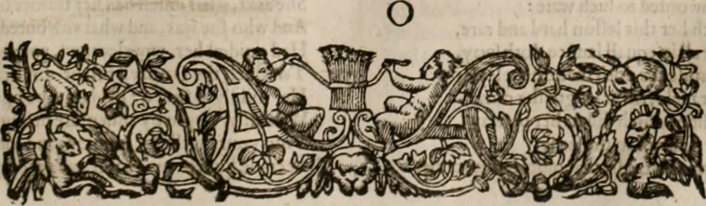 An illustration from The faerie queene : disposed into XII bookes, fashioning twelue morall vertues, 1609, leaf 160