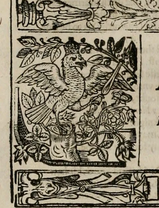 An illustration from The faerie queene : disposed into XII bookes, fashioning twelue morall vertues, 1609, leaf 171