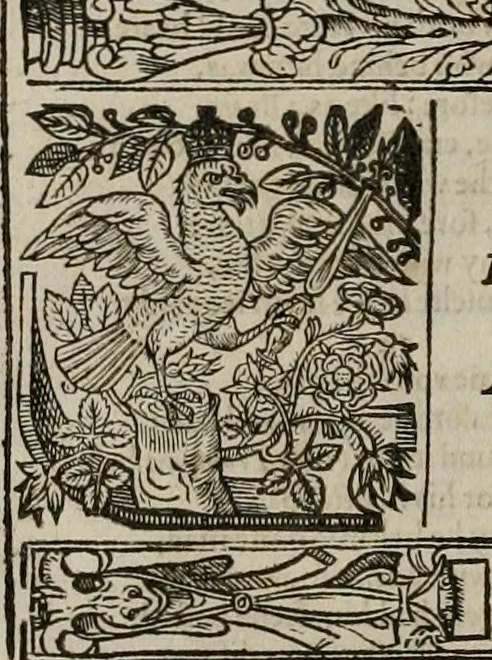 An illustration from The faerie queene : disposed into XII bookes, fashioning twelue morall vertues, 1609, leaf 181