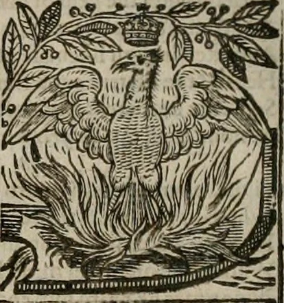 An illustration from The faerie queene : disposed into XII bookes, fashioning twelue morall vertues, 1609, leaf 181