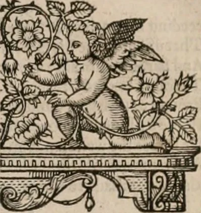An illustration from The faerie queene : disposed into XII bookes, fashioning twelue morall vertues, 1609, leaf 20