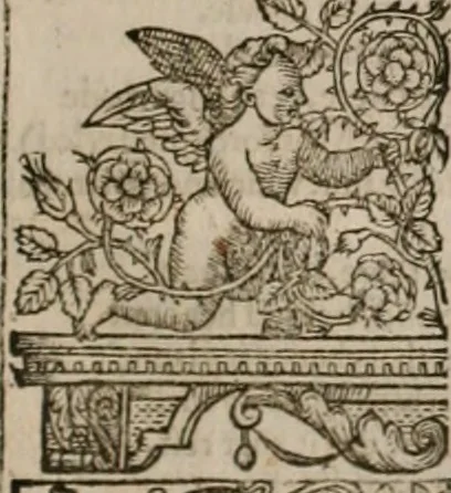 An illustration from The faerie queene : disposed into XII bookes, fashioning twelue morall vertues, 1609, leaf 218